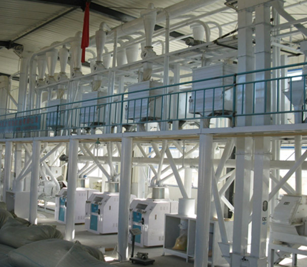 高素質(zhì)團(tuán)隊(duì)·打造過硬品質(zhì)